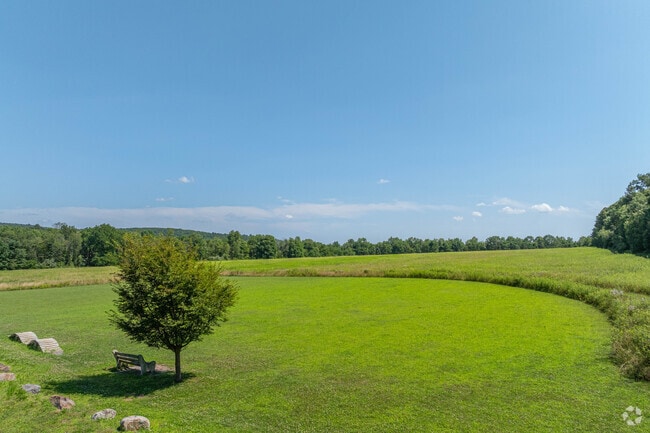 Enjoy the large green area at West End Regional Park.