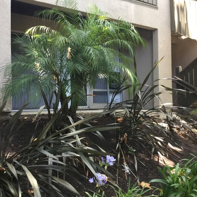 151 W Glaucus St unit B, Encinitas, CA 92024 - photo 2