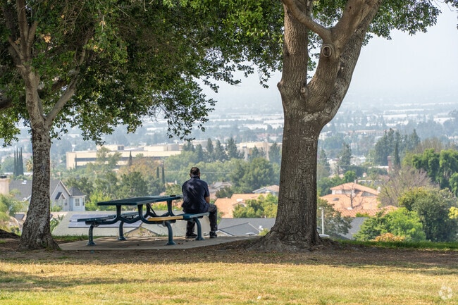 Loma Linda offers incredible views of the San Bernardino Mountains.