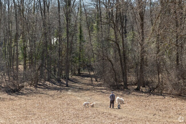 Take a casual stroll with your furry companions in Centennial Park in Wellesley Hills.
