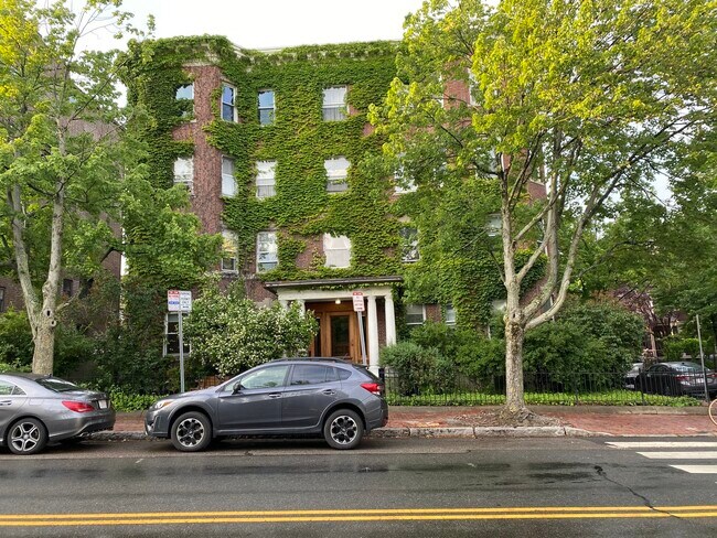 315 Harvard St unit 1, Cambridge, MA 02139 - photo 2