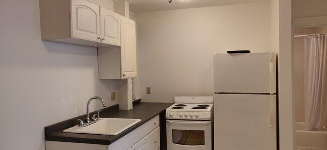 19 Peterborough St unit 9, Boston, MA 02215 - photo 4