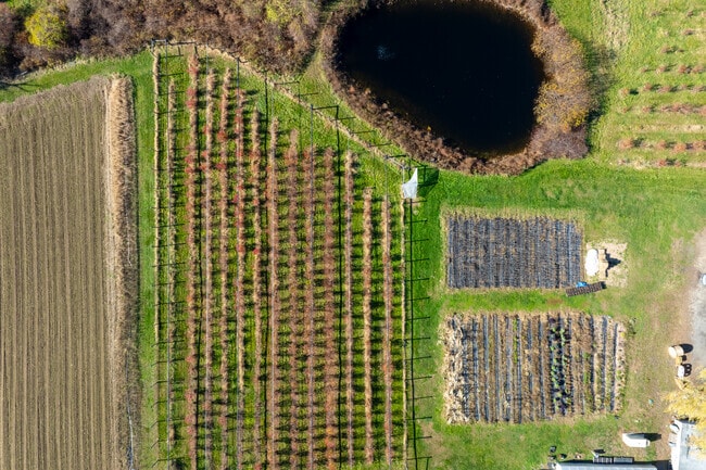 Residents enjoy farm-to-table living at Heron Pond Farm in South Hampton.
