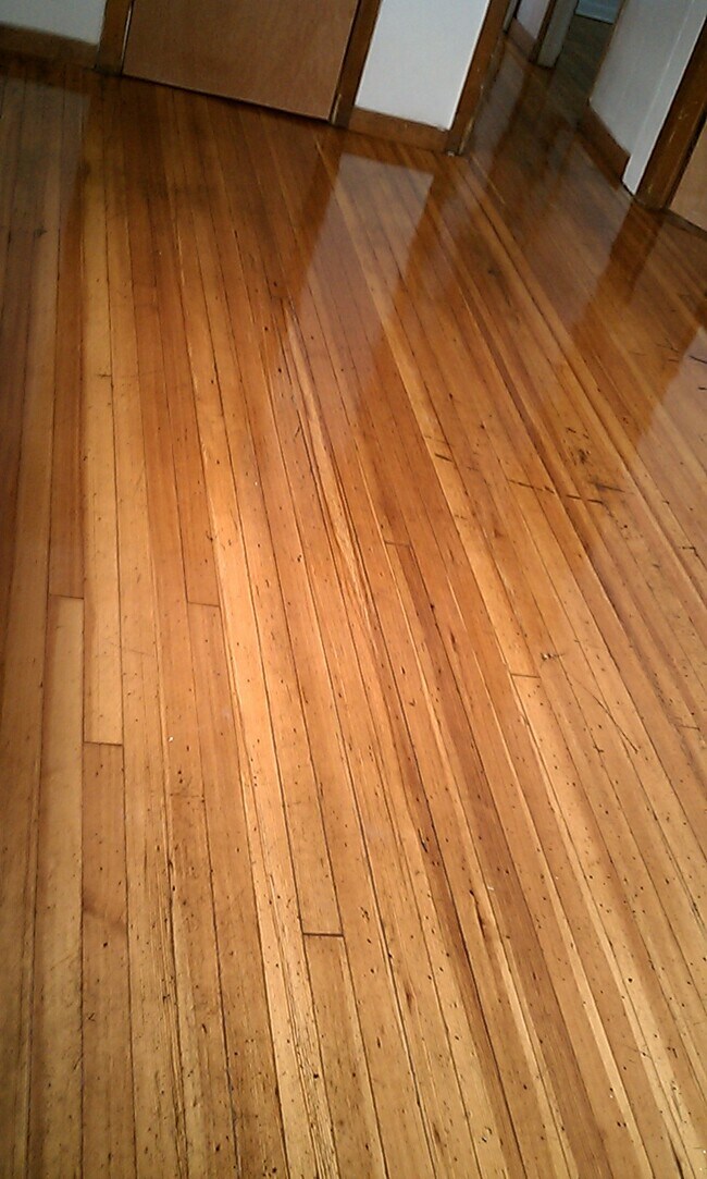 589 Washington Ave, Albany, NY 12206