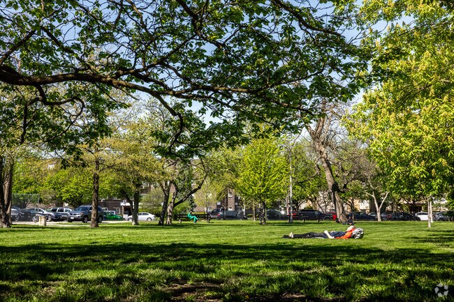 Have an afternoon siesta on the soft grass at Jefferson Park.