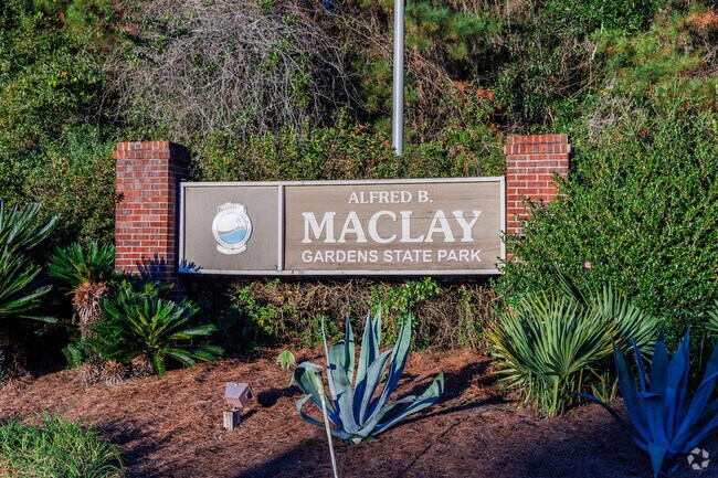 Maclay Gardens blooms and shows out in the winter time.