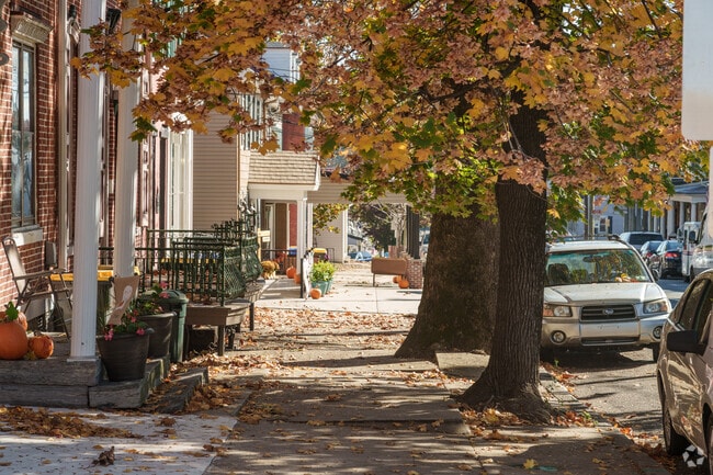 Sidewalks shaded by trees make Womelsdorf in Heidelberg a very walkable town.