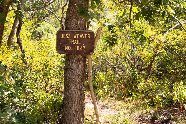 Jess Weaver Trail is one of many hiking routes in White River National Forest.