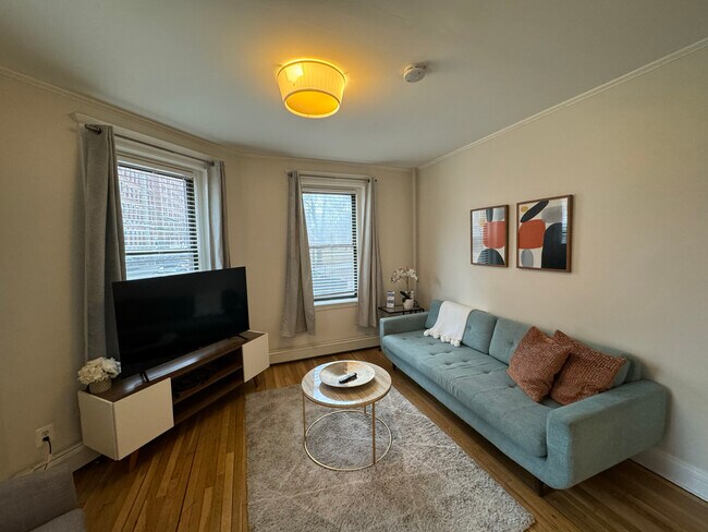 34 E Newton St unit 2, Boston, MA 02118 - photo 4