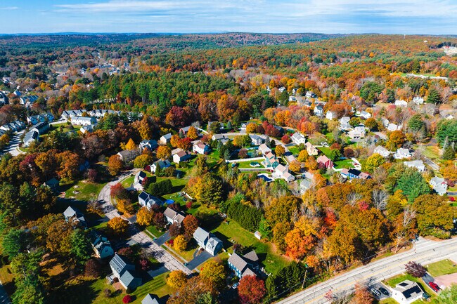 Upton State Forest surrounds the residents homes.