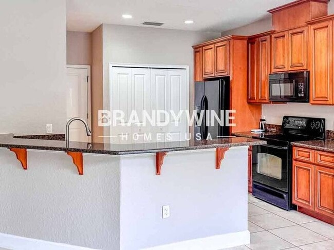 1211 La Fortuna Blvd, Kissimmee, FL 34744 - photo 6