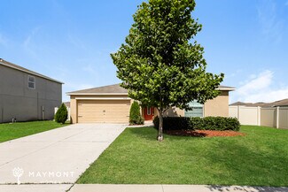 15514 Caynor Ash Ln, Ruskin, FL 33573