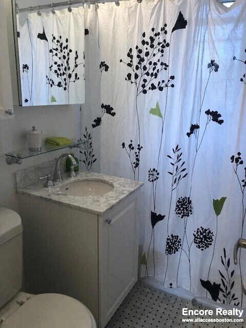 72 St Paul St unit 12, Brookline, MA 02446 - photo 6