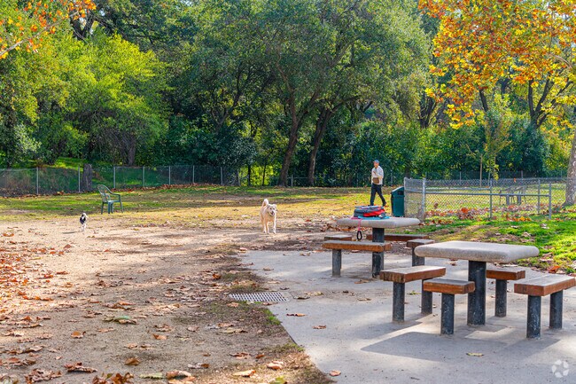 Your dog will love playing at the Saugstad Dog Park.