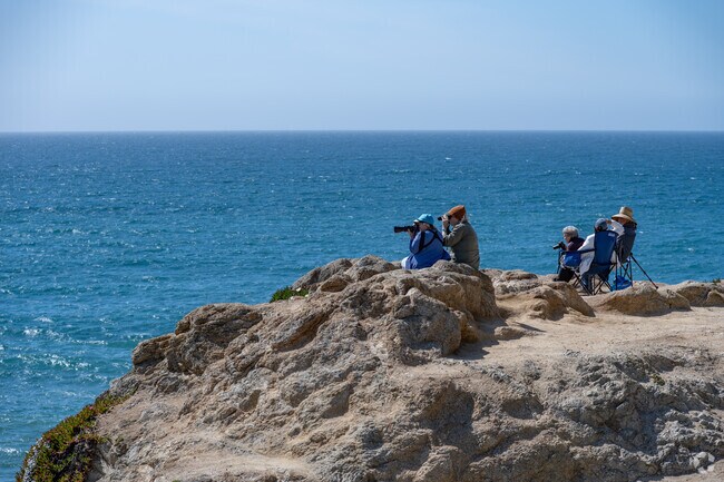 The Bodega Head is a great place to whale watch and spend the day with friends.