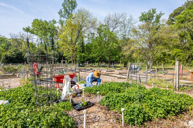 Residents enjoy growing their own veggies at the Plaza Midwood neighborhood garden.