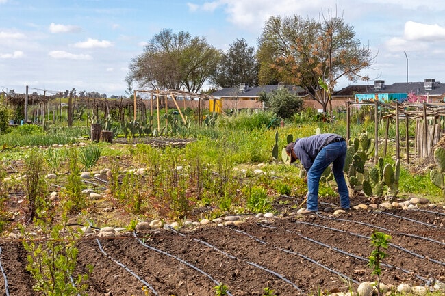 Yo'Ville Community Garden and Farm offers a place for locals to grow their own food in Edison.