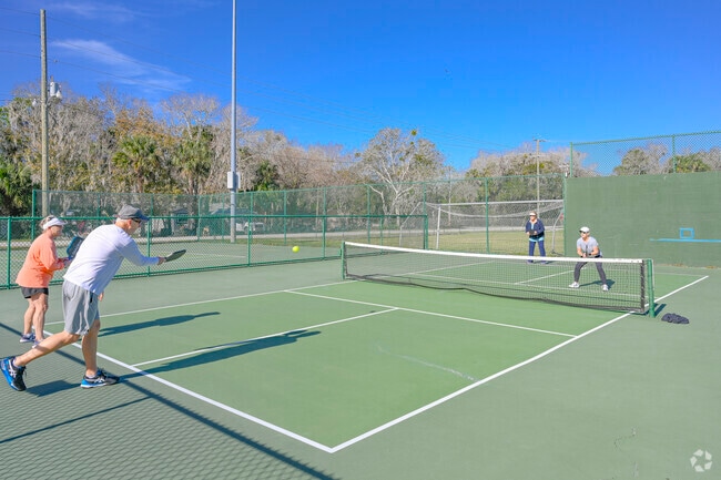 Challenge friends to a game of pickleball at Pettis Park.