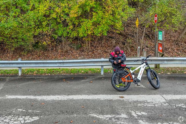 Bike along the Youghiogheny River on the YRT in Sutersville-Gratztown.