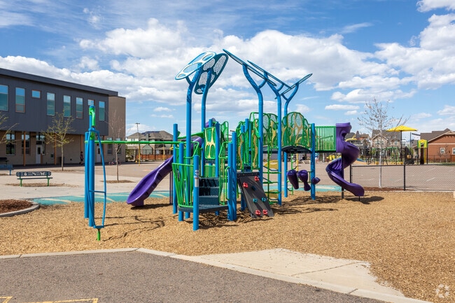 Willow Elementary has a colorful playground in Central Park.