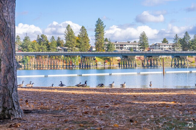Q'emiln has lots of waterfowl life to see at the park.