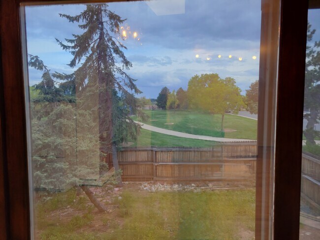 View to Tennyson Park
