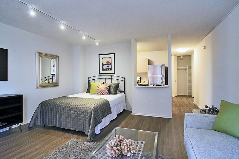 1130 E Cedar St, Chicago, IL 60610 - photo 1