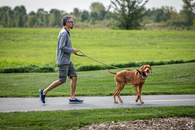 Visitors can explore the prairie and go hiking at Riverview Farmstead Preserve in High Meadow.