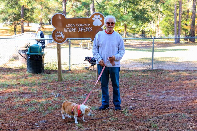 The J. Lee Vause Park in Northwest Tallahassee is great for dogs to meet up and play.