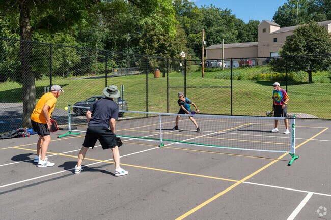 Residents compete in Trucksville with love for pickleball at the Kingston Township Park.