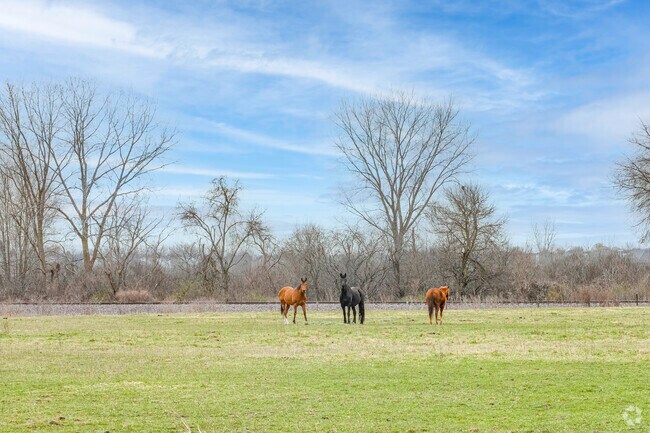 The beautiful surroundings of Wayne lend themself to animals and horses thriving.