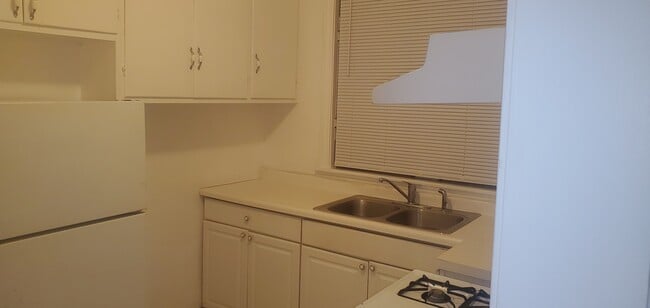 6519 S Eberhart Ave unit 1, Chicago, IL 60637 - photo 4