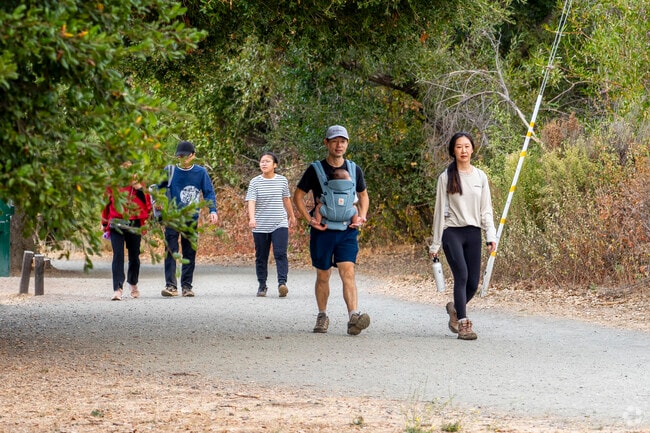 Hiking is a popular hobby to get into if you decide to live in Loyola.
