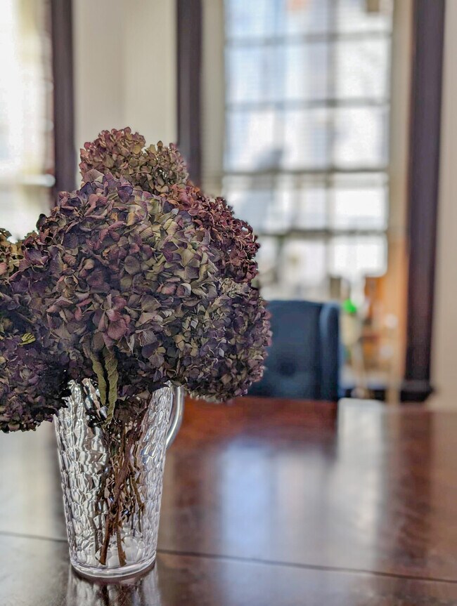 15 Rosseter St unit 1, Dorchester, MA 02121 - photo 7