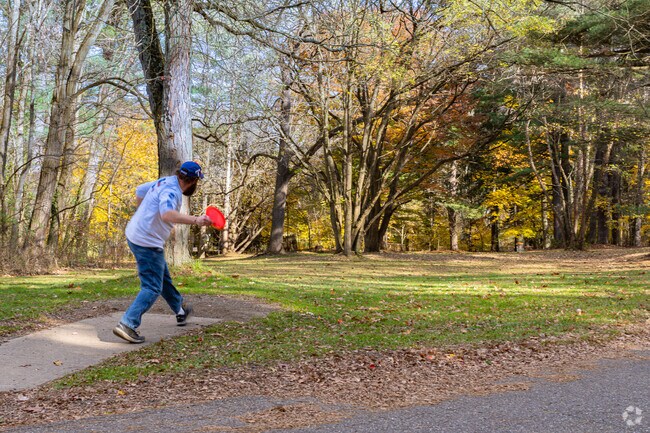 A disc golf enthusiast takes on the course in Lincoln Park in West Massillon.