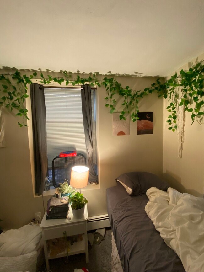 50 Saint Stephen St unit 21, Boston, MA 02115 - photo 4