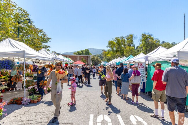 Shop organic fruits and veggies at the bustling Los Gatos Farmers Market.