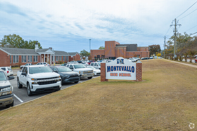Montevallo High School school colors are orange and blue.