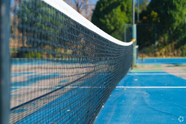 Head to Rosamond Park in Hampden South for a game of tennis.