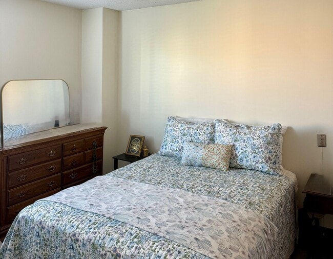 Aboussie Pavillion, Saint Louis, MO 63116 - photo 4