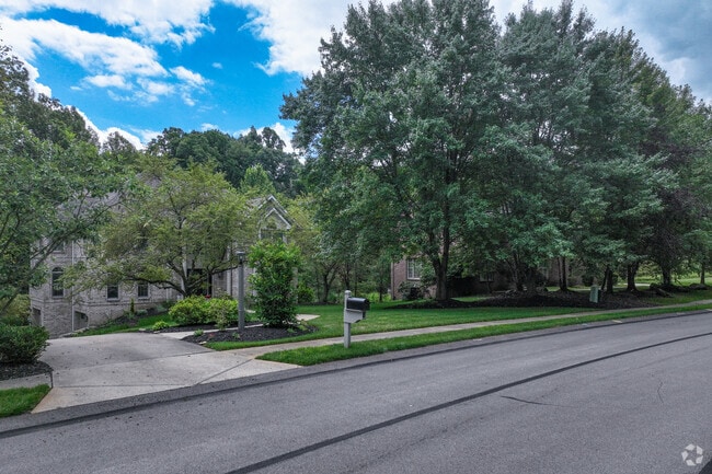 Some houses in Pine Township you can't enjoy their beauty because of cover of trees.