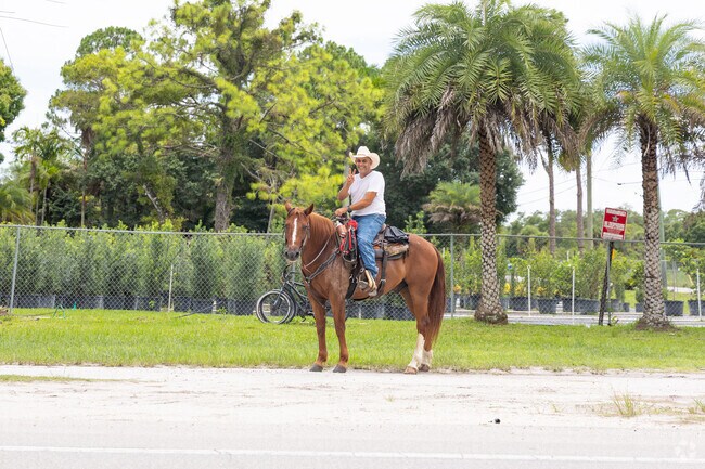 Horses are a mode of transportation in Loxahatchee Groves.