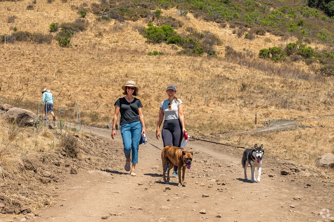 A couple of Bishops Knoll friends enjoy walking their dog along the Cerro San Luis trail.