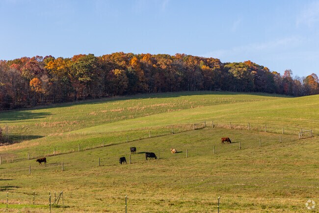 Come visit Claysburg and stay for a while.