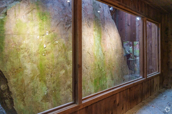 Poteau, Oklahoma, invites you to experience a blend of history and outdoor adventure.