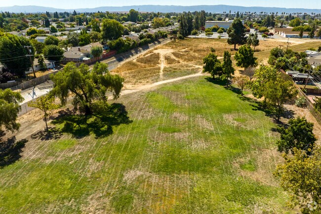 Play frisbee or catch with your dog at Noll Park in Sundale.
