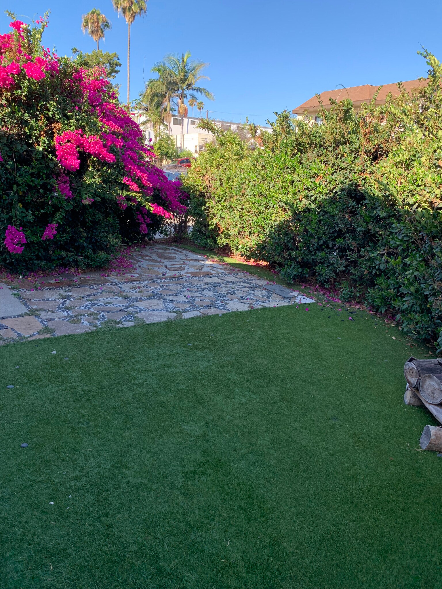 Front yard