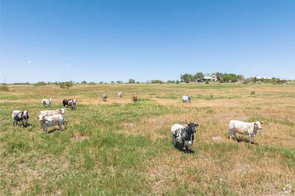 NH_WalnutHills_551076_P2_FINAL_EB_091024