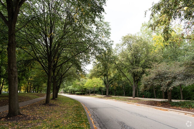 Many streets of Eola Yards are lined with towering trees, making each road unique.