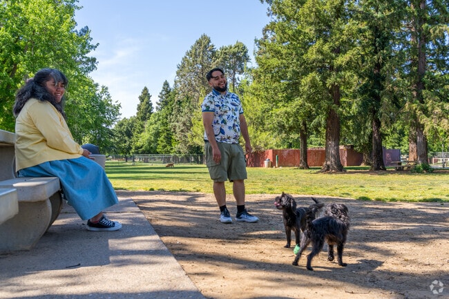 Tall trees provide shade at the dog park at Elk Grove Regional Park.